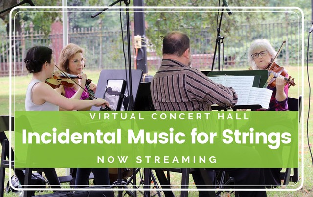 Virtual Concert Hall | Incidental Music for Strings