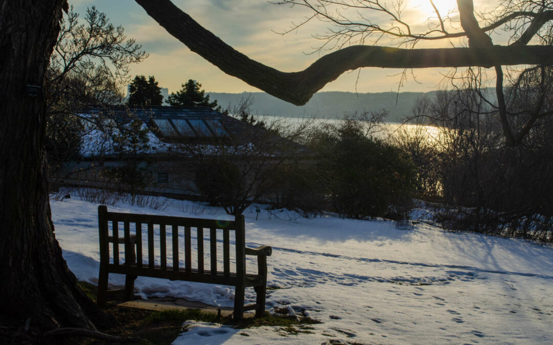 Evening of Transcendent Sound at Wave Hill