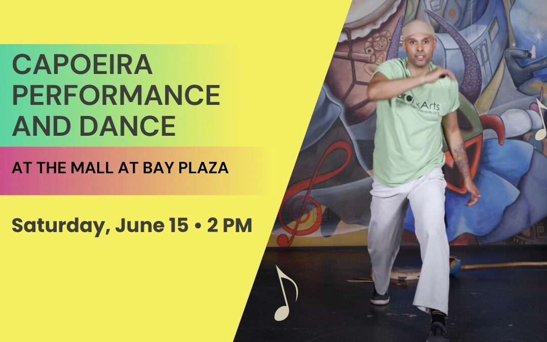 CAPOEIRA PERFORMANCE AND DANCE